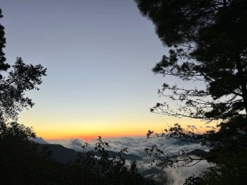 Oaxaca: San José del Pacífico, paraíso de las nubes