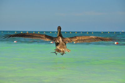 La Isla de Nunca Jamás (Isla Contoy – Isla Mujeres)
