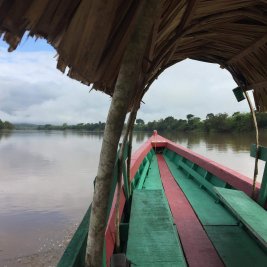 Zonas arqueológicas Bonampak y Yaxchilán (fin Palenque)