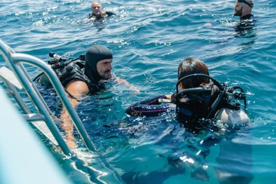 Desde los CABOS Buceo en Cabo Pulmo