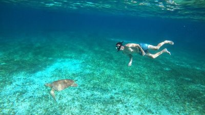 Cozumel Snorkel con Tortugas y El Cielo