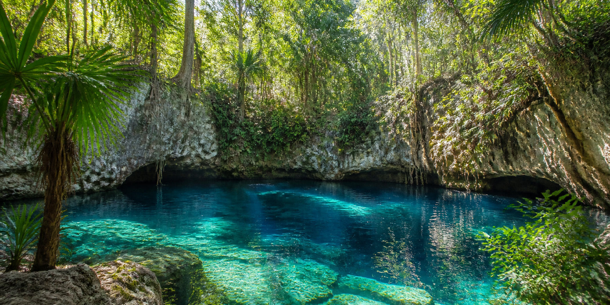 Desde Riviera Maya