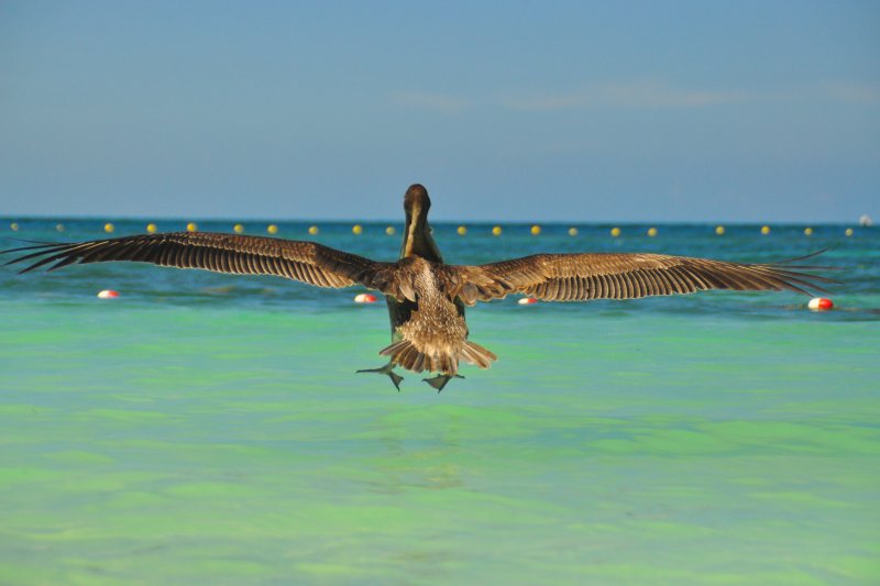 La Isla de Nunca Jamás (Isla Contoy – Isla Mujeres)