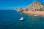 Desde los CABOS Avistamiento de Ballenas de Lujo