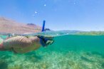 Desde los CABOS Aventura de Snorkel y Mar en Cabo