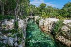 Cenotes Casa Tortuga