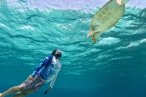 Cozumel Snorkel con Tortugas y El Cielo