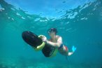 Desde los CABOS Aventura de Snorkel y Mar en Cabo