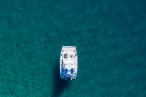 Desde los CABOS Avistamiento de Ballenas de Lujo