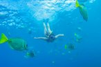 Desde los CABOS Aventura de Snorkel y Mar en Cabo