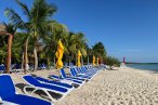 Kuza Park Cozumel