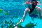 Cozumel Club de Playa Palancar