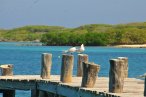 La Isla de Nunca Jamás (Isla Contoy – Isla Mujeres)