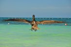La Isla de Nunca Jamás (Isla Contoy – Isla Mujeres)