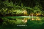 Cenotes Casa Tortuga