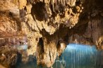 Tulum Akumal Cenote Nado con Tortugas