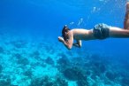 Cozumel Snorkel con Tortugas y El Cielo