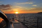 Desde los CABOS Navegación de Lujo al Atardecer