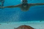 Cozumel Snorkel con Tortugas y El Cielo