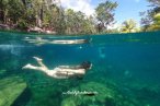 Cenotes Casa Tortuga