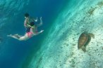 Cozumel Snorkel con Tortugas y El Cielo