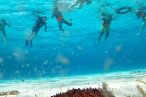 Cozumel Snorkel con Tortugas y El Cielo