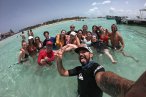 Encuentro con el Tiburón Ballena