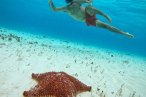 Cozumel Snorkel con Tortugas y El Cielo