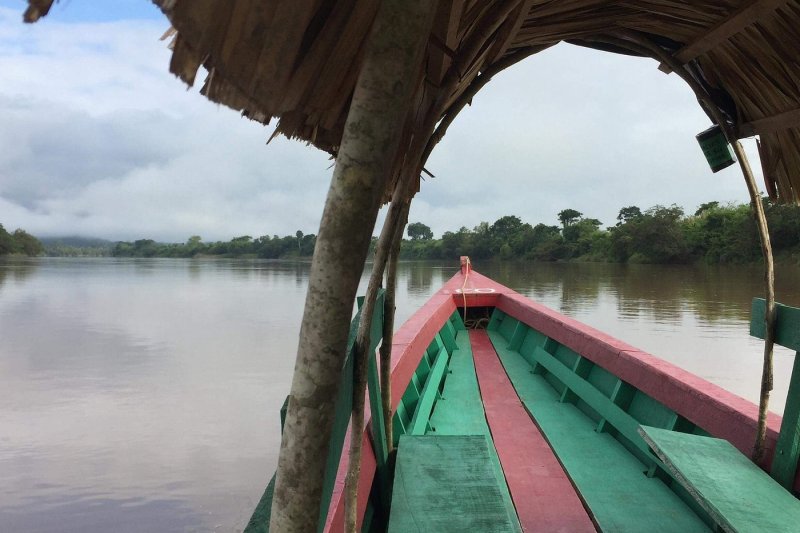 Zonas arqueológicas Bonampak y Yaxchilán (fin Palenque)
