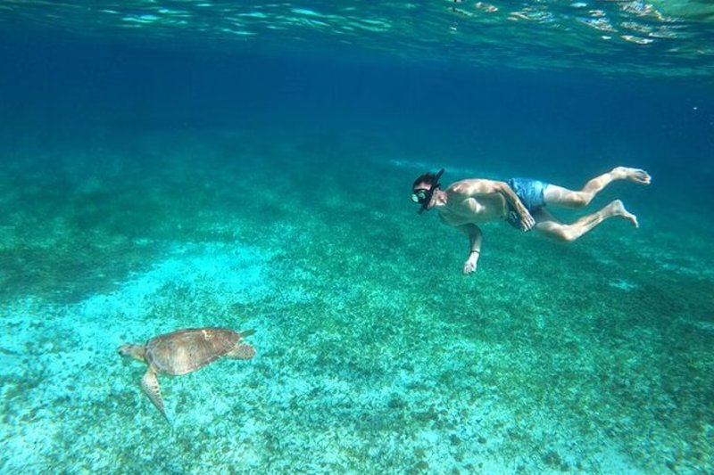 Cozumel Snorkel con Tortugas y El Cielo