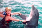 Delfines en Chankanaab Cozumel
