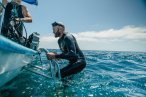 Desde los CABOS Buceo en Cabo Pulmo
