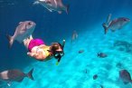 El Cielo Palancar y Colombia Snorkel en Lancha