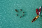 Bacalar Tour de Paddle o Kayak al Amanecer con Picnic Flotante