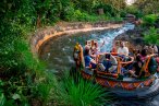 ☆ Disney: Animal Kingdom