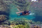 Desde los CABOS Expedición de Snorkel en Cabo Pulmo