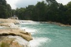 ✿ Chiapas: Visita Palenque: Cascadas de Agua Azul, Misol-Há y Zona Arqueológica
