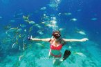 Jungle Tour Cancún
