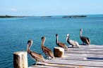 Contoy e Isla Mujeres