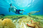 Kuza Park Cozumel