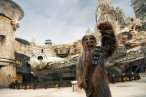☆ Disney’s Hollywood Studios