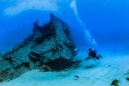 Desde los CABOS Buceo Scuba en Cabo