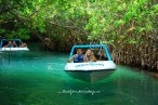 Jungle Tour Cancún