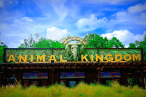 ☆ Disney: Animal Kingdom