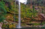 ✿ Chiapas: Visita Palenque: Cascadas de Agua Azul, Misol-Há y Zona Arqueológica