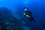 Desde los CABOS Buceo Scuba en Cabo
