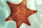 El Cielo Palancar y Colombia Snorkel en Lancha