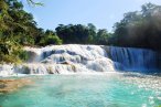 ✿ Chiapas: Agua Azul-Misolhá-ZA Palenque