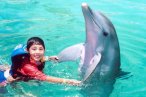 Delfines en Chankanaab Cozumel