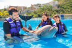 Desde los CABOS Cabo Dolphins